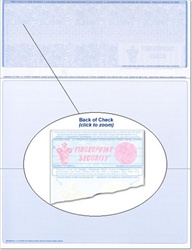 Blue Top  Blank Check Stock Letter Size