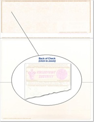 Brown Top Blank Check Stock Letter Size